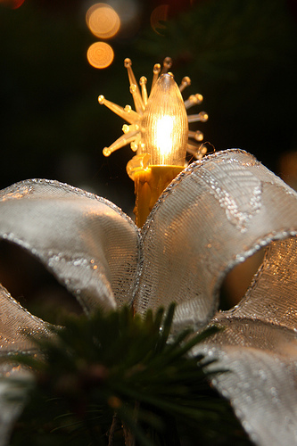 Weihnachten 2010 in Brakelsiek